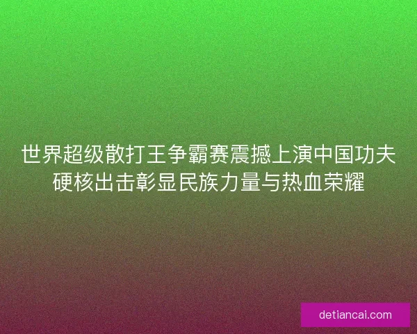 世界超级散打王争霸赛震撼上演中国功夫硬核出击彰显民族力量与热血荣耀