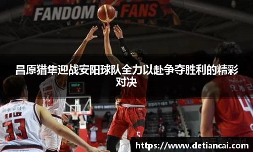 昌原猎隼迎战安阳球队全力以赴争夺胜利的精彩对决